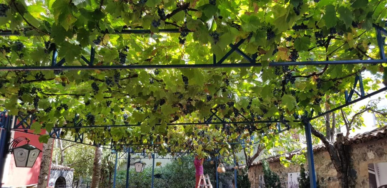 Villa Themistokli コルチャ エクステリア 写真